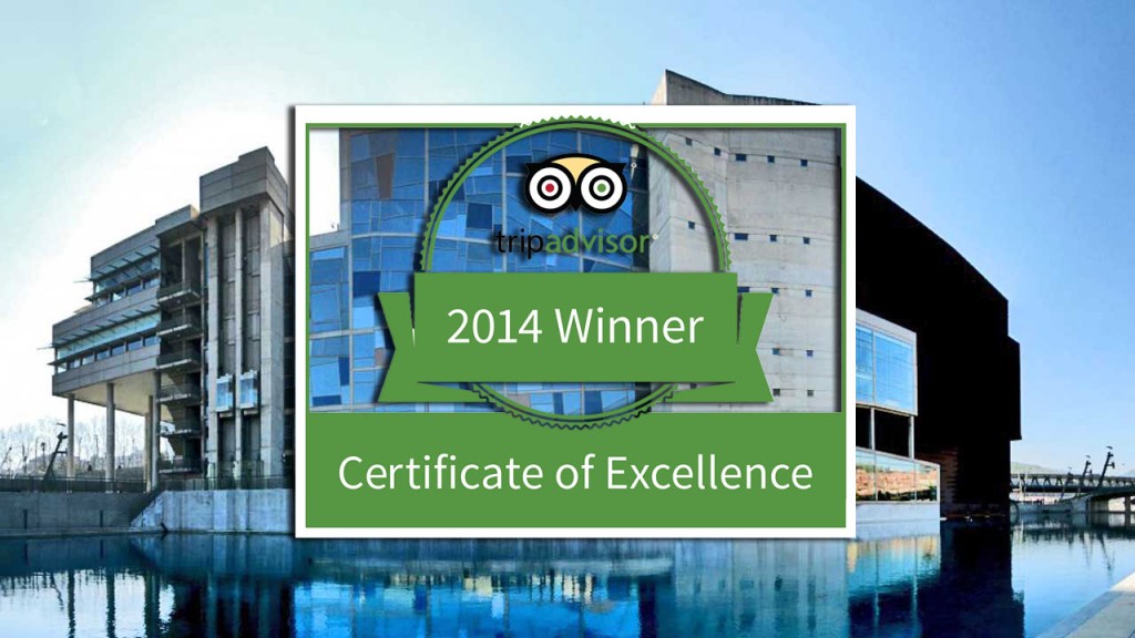 Certificado de Excelencia Trip Advisor 2014 para Etxanobe